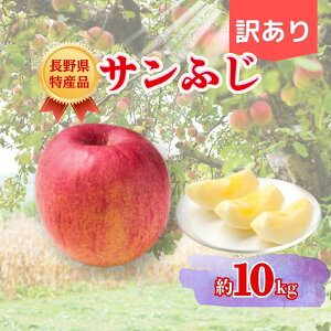 yӂ邳Ɣ[Łzy2025Ns\z Tӂ 󂠂 3kg/5kg/10kg|ь  ʕ t[c T ӂ xm 3kg 5kg 10kg A MBь MB MB  Ȏs 