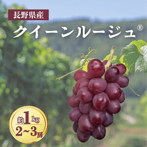 �y�ӂ邳�Ɣ[�Łz�y2026�N��s�\��z�N�C�[�����[�W��R ��1kg�i2~3�[�j�b�Ԃǂ� �嗱 �ԂԂǂ� �햳�� �炲�� �M�B ���쌧 ��Ȏs�b�Ԃǂ� �嗱 �ԂԂǂ� �햳�� �炲�� �M�B ���쌧 ��Ȏs