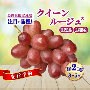 yӂ邳Ɣ[ŁzԂǂ NC[[WR 500g(1[)/1kg(2~3[)/2kg(3~5[)| O[v ʕ t[c NC[[W Yn 햳 炲 VC}XJbgƃjR[a