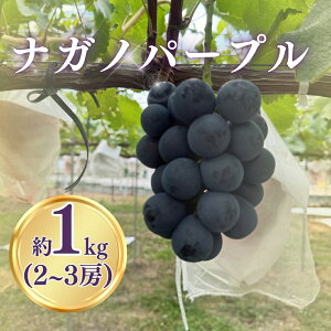 yӂ邳Ɣ[Łzy2026Ns\ziKmp[v1kgi2~3[jbԂǂ 햳 Ԃǂ 炲 MB 쌧 ȎsbԂǂ 햳 Ԃǂ 炲 MB 쌧 Ȏs