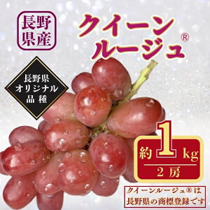 yӂ邳Ɣ[Łzy2026Ns\zNC[[WR 1kgbԂԂǂ ʕ t[c Ȃ 炲 MB Yi Ȏs 쌧Y MB