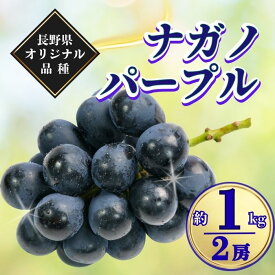 【ふるさと納税】【2026年先行予約】ナガノパープル 約1kg｜果物 フルーツ 黒ぶどう 葡萄 ブドウ 種無し 種なし 皮ごと 千曲市 長野県 信州