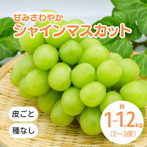 �y�ӂ邳�Ɣ[�Łz�y2026�N��s�\��z�V���C���}�X�J�b�g ��1kg~1.2kg(2~3�[)�b �Ԃǂ� ���� ���Ԃǂ� �햳�� ��Ȃ� �炲�� ��Ȏs ���쌧�Y �M�B