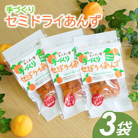 【ふるさと納税】干しあんず(半生タイプ)3袋セット | 杏子 あんず アンズ アプリコット セミドライ ドライ フルーツ ドライフルーツ 果物 くだもの おやつ デザート スイーツ お取り寄せ おすすめ 人気 贈り物 ギフト 国産 長野名物 信州 長野県産 長野 千曲市 送料無料