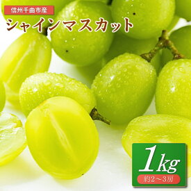 【ふるさと納税】【2026年先行予約】シャインマスカット 1kg(2~3房)｜ ぶどう 葡萄 白ぶどう 種無し 種なし 皮ごと 千曲市 長野県産 信州