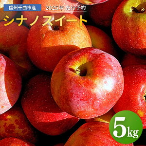 yӂ邳Ɣ[Łzy2025Ns\z VimXC[g 12~20 5kg|ь  ʕ t[c VimXC[g 5kg MBь MB MB  Ȏs 