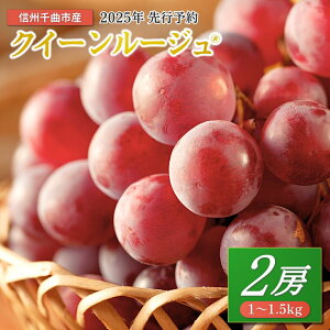 yӂ邳Ɣ[ŁzԂǂ NC[[WR 1~1.5kg(2[)| O[v ʕ t[c NC[[W 1kg1.5kg 2[ Yn 햳 炲 VC}XJbgƃjR[a Ԃ
