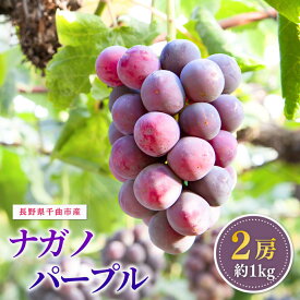 【ふるさと納税】【2026年先行予約】ぶどう 家庭用 ナガノパープル 約1kg 2房|葡萄 グレープ 果物 フルーツ ナガノパープル 1kg 信州ぶどう 信州葡萄 産地直送 種無し 皮ごと食べれる 巨峰とリザマートから誕生 黒ぶどう長野パープル 信州 長野 千曲市 送料無料