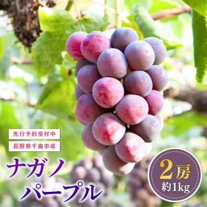 yӂ邳Ɣ[ŁzԂǂ ƒp iKmp[v 1kg 2[| O[v ʕ t[c iKmp[v 1kg MBԂǂ MB Yn 햳 炲ƐHׂ ƃU}[ga 