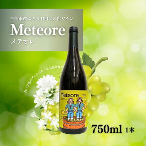 yӂ邳Ɣ[ŁzCeI 750ml × 1{| MB  Ȏs 