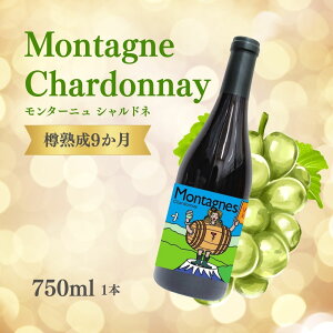 yӂ邳Ɣ[ŁzC^[j Vhl 750ml × 1{| MB  Ȏs 