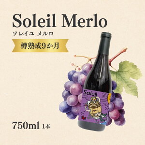 yӂ邳Ɣ[ŁzԃC\C 750ml × 1{| MB  Ȏs 