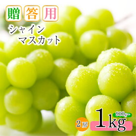 【ふるさと納税】 朝摘み シャインマスカット900g～1kg 2房（贈答用）｜ ぶどう シャイン マスカット しゃいん ますかっと 1kg フルーツ 特産品 千曲市 長野県 先行予約