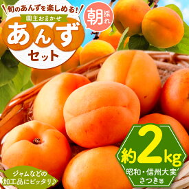 【ふるさと納税】園主おまかせ あんずセット2kg｜ あんず 杏 昭和 信州大実 さつき フルーツ 特産品 千曲市 長野県 先行 予約 旬 ジャム 果実酒 手作り くだもの 数量限定 期間限定 希少 加工用