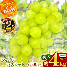 【ふるさと納税】 ランキング 入賞 ! シャインマスカット 500g～4kg〈2024年9月中旬〜順次発送予定〉 ｜ シャインマスカット ぶどう 葡萄 種なし フルーツ 特産品 千曲市 長野県 先行予約