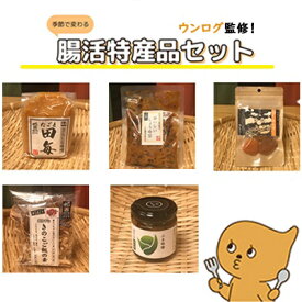 【ふるさと納税】 ウンログ監修！季節で変わる腸活特産品セット おまかせ5種 ｜ 腸活 ウンログ セット 特産品 千曲市長野県