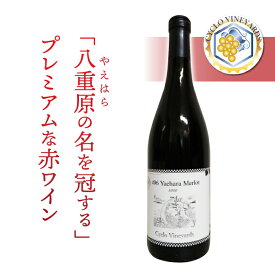 【ふるさと納税】凍霜害 応援!!　「八重原の名を冠する」プレミアムな赤ワイン【496ワイナリー】