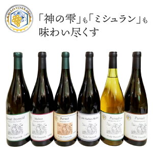 【ふるさと納税】凍霜害 応援!! 「神の雫」も「ミシュラン」も 味わい尽くす【496ワイナリー】