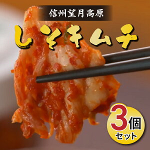 yӂ邳Ɣ[ŁzMB]L`i3Zbgjwsgp YL`  yHi Е т̂ Mtg v[g ① 쌧s