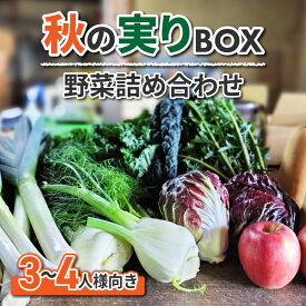 【ふるさと納税】（2024年秋お届け）sugaya farm 秋の実りBOX（3〜4人様向け）