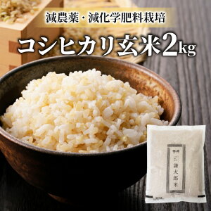 yӂ邳Ɣ[Łzyߘa7NYzdY RVqJ  2kgbʍ͔|āi͔|Ԓ_Ew엿͔|jyzƑnz