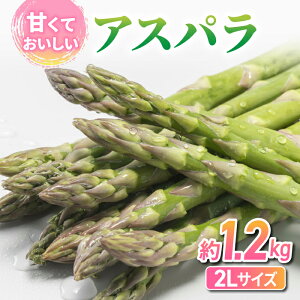 �y�ӂ邳�Ɣ[�Łz�y��s��t2026�N�����z����s�Y�A�X�p���K�X��1.2kg�i200g×6�܁j ��2026�N4�����{�`6�����{���ɏ��������\��