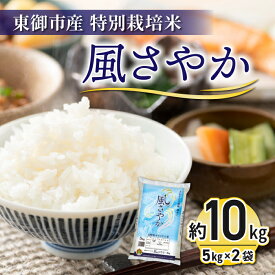 【ふるさと納税】【R7年産新米予約】東御市産の特別栽培米「風さやか」約10kg｜国産 長野県産 お米 こめ 白米※2025年10月以降順次発送