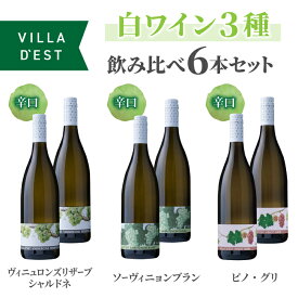 【ふるさと納税】ヴィラデストワイナリー 白ワイン3種飲み比べ6本セット