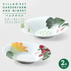 【ふるさと納税】【ヴィラデストワイナリー】ベジタブルシリーズ食器 パスタボウル2枚(ズッキーニ&ミニトマトとラディッシュ&エンドウ)セット