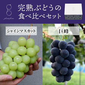 yӂ邳Ɣ[Łzyst2026NznԂǂ̐Hה׃ZbgiVC}XJbg×j3[A1.4kgȏbglasses farm 2026N9{ȍ~\