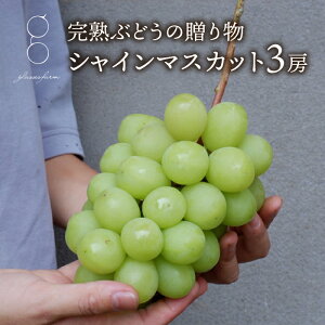 yӂ邳Ɣ[Łzyst2026NznԂǂ̑蕨iVC}XJbg3[jbglasses farm 2026N9{`10{\