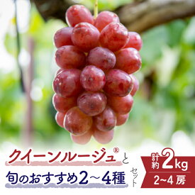【ふるさと納税】【先行受付2026年発送】クイーンルージュ（R)と旬のおすすめ2〜4種セット（合計3~4房、約2kg）｜秀果園　※2026年9月中旬以降発送予定