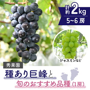 yӂ邳Ɣ[Łzyst2025Nz킠苐Ə{̂ߕii1[j v5~6[ i2kgjbGʉ@2025N9~10