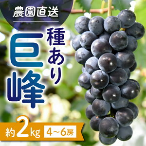 yӂ邳Ɣ[Łzyst2025Nz킠苐2kgi4~6[jbGʉ@2025N9~10\