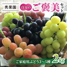 【ふるさと納税】【先行受付2026年発送】自分のご褒美セット2kg（ご家庭用ぶどう3～5種、計2kg）｜秀果園　※2026年10月中旬〜12月中旬順次発送