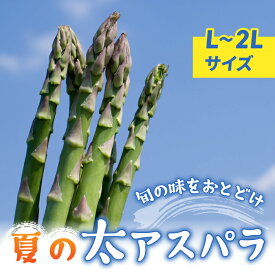 【ふるさと納税】【先行受付2026年発送】農家直送！新鮮！夏獲れ太（L～2L）アスパラ｜のららぼ農園 ※2026年7月上旬～9月中旬発送予定