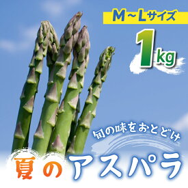 【ふるさと納税】先行予約2025年発送【のららぼ農園】農家直送！新鮮！夏獲れ細（M〜L）アスパラ1kg（およそ35〜50本）※2025年7月上旬〜9月上旬発送予定