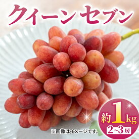 【ふるさと納税】先行予約2026年発送！皮ごと食べられるクイーンセブン2～3房（約1kg）｜あおさく農園※2026年9月上旬以降発送予定