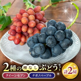 【ふるさと納税】【先行受付2026年発送】2種の種なしぶどうセット(クイーンセブン・ナガノパープル） 合計2房セット｜あおさく農園　※2026年9月中旬以降発送予定｜農薬削減