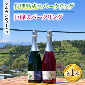 【ふるさと納税】【アルカンヴィーニュ】長期熟成スパークリング＆巨峰スパークリングワイン2本セット　辛口 お酒 ギフト プレゼント 果実酒 瓶 国産 信州 長野県東御市