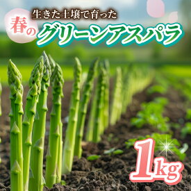 【ふるさと納税】先行受付【里山JAPAN】甘くて柔らか 生きた土壌で育った『春のグリーンアスパラ』1kg｜長野県 ※2026年春発送