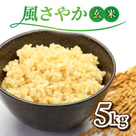 【ふるさと納税】令和7年産新米！長野県オリジナル品種「風さやか」玄米5kg　※2025年10月上旬以降順次発送