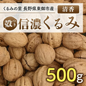 yӂ邳Ɣ[Łz2025NY 쌧sY MZ 500gii j