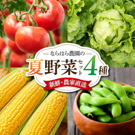 【ふるさと納税】新鮮！農家直送！夏野菜のセット（トマト、枝豆、とうもろこし、葉物野菜）【ならはら農園】※2026年8月上旬以降発送
