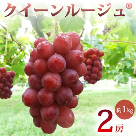 【ふるさと納税】先行受付2026年発送【土屋農園】農家直送！クイーンルージュ（R）2房（約1kg）※2026年9月下旬～10月中旬順次発送