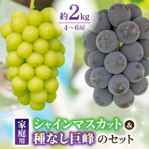 yӂ邳Ɣ[Łzst2025NIƒpVC}XJbgƎ햳̋lߍ킹@2kgi4`6[jbʎq2025N9{`10{