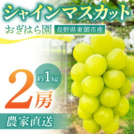 【ふるさと納税】先行受付2026年発送【おぎはら園】農家直送！朝採れシャインマスカット2房（約1kg）※2026年9月下旬～10月上旬順次発送