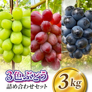 yӂ邳Ɣ[Łzy͂牀z_ƒIp3FԂǂ̋lߍ킹Zbg 3kgi6`8[jbVC}XJbgAȂAiKmp[v ANC[j[iANC[[WR