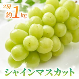 【ふるさと納税】【先行受付2026年発送】【さとのみ果樹園】シャインマスカット2房(1kg以上) ※2026年9月中旬～10月下旬順次発送