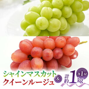 yӂ邳Ɣ[Łzyst2026NzyƂ̂݉ʎzVC}XJbgNC[[W(R)e1[iv1kgȏj2026N9{`10{